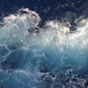 Meet your Posher, Brooklynn